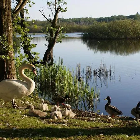 شقة فندقية Pokoje Goscinne Holtur Podczele