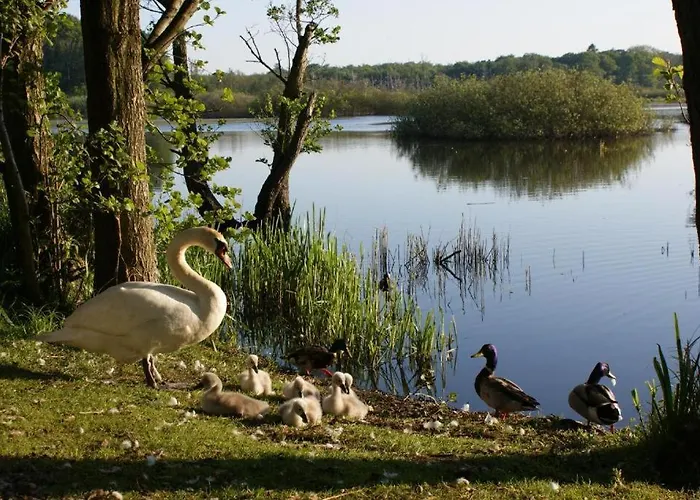 아파트호텔 Pokoje Goscinne Holtur Podczele